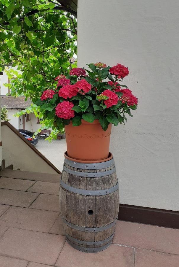 Das Landhotel Weingut Gernert Sankt Martin Bagian luar foto